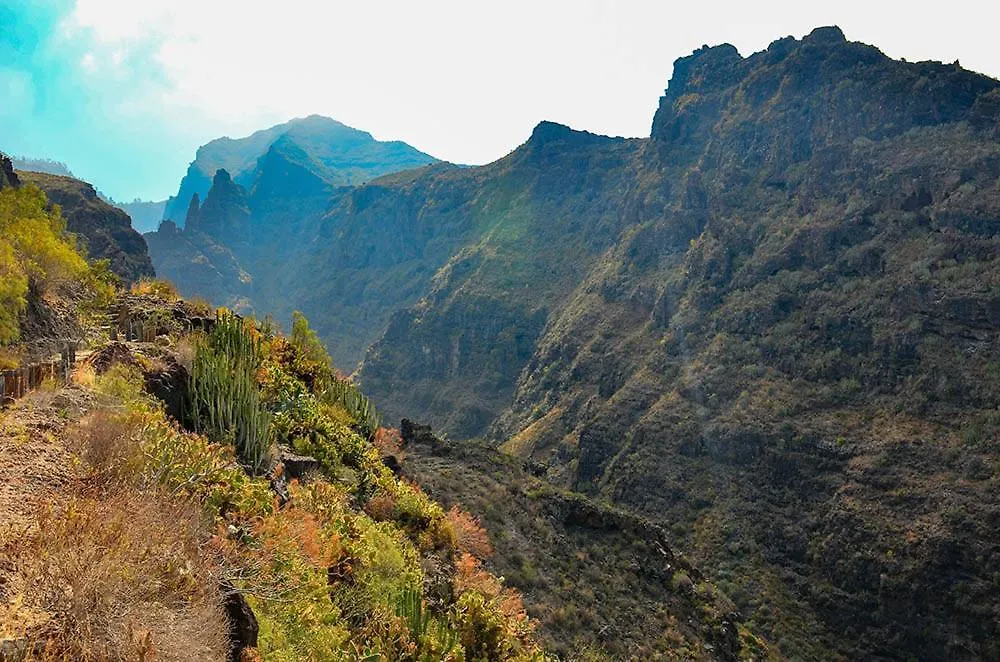 El Barranco De Adeje, Studio Wifi Free Costa Adeje  0*, Costa Adeje (Tenerife) Spain